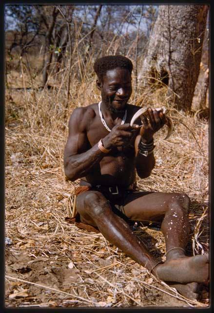 Bela sitting and cleaning animal teeth