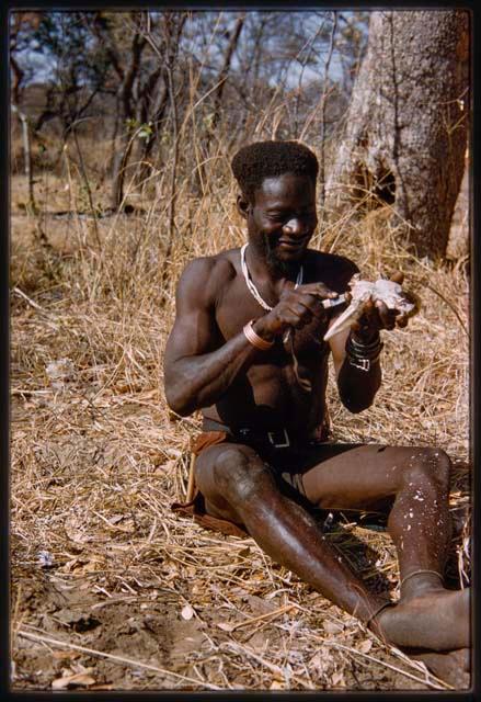 Bela sitting and cleaning animal teeth