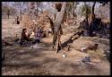 Group of people gathered in werf, with a baby crawling on the ground