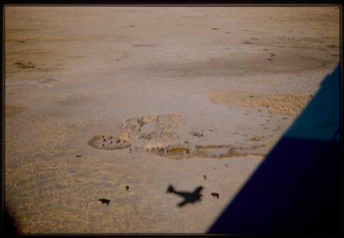 Aerial view of kraal, with airplane shadow