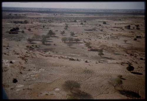 Aerial view of Ovamboland landscape with trees