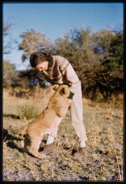 Deborah Marshall with a lion cub playfully biting her