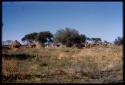 Distant view of village