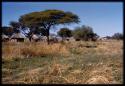 Distant view of village