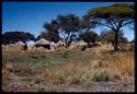 Distant view of village