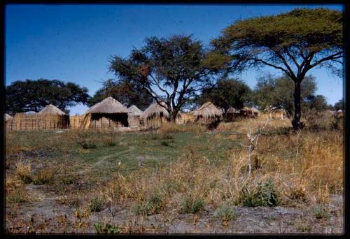 Distant view of village