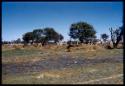 Distant view of village