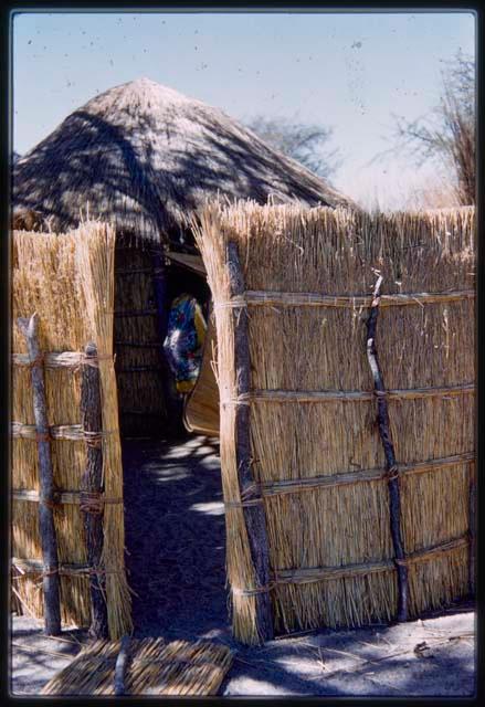 Hut entrance, showing cane walls