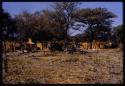 Hunting camp, distant view