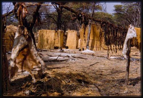 Biltong hanging in front of huts