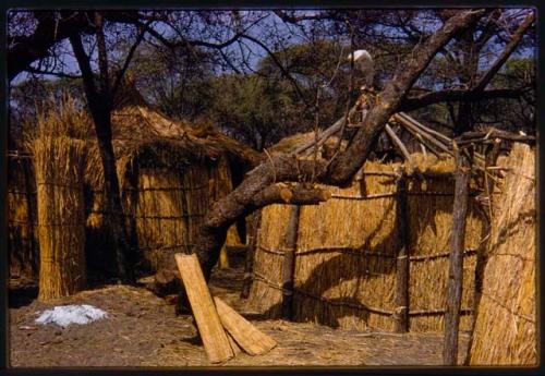 Huts in a hunting camp