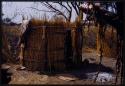 Hut in a hunting camp