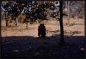 Group of children standing together, seen from a distance