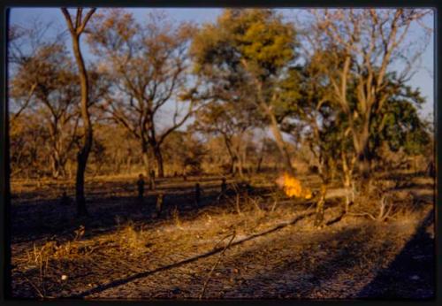 Fire in a veld, children standing near by