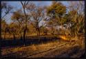 Fire in a veld, children standing near by