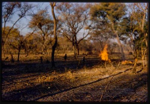 Fire in a veld, children standing near by