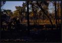 Children in a veld