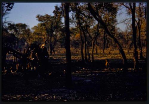 Children in a veld