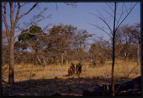 Group of people standing, seen from a distance