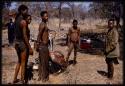 Group of men standing next to buffalo meat being distributed