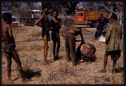 Group of men standing next to buffalo meat being distributed