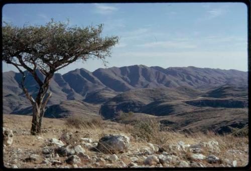 Landscape with mountains in the background