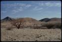 Landscape with mountains in the background