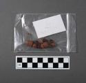 Embilipi, 1 of 13 plant and seed samples in small plastic bags