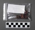 Tla'tanabe, 1 of 13 plant and seed samples in small plastic bags