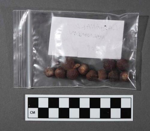 Lashanako, one of 13 plant and seed samples in small plastic bags