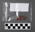 Congolobe, one of 13 plant and seed samples in small plastic bags