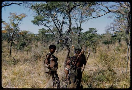 Fiber Root: //Kushay holding a child and looking for fiber roots to dig with !U