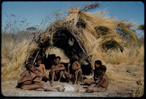 Groups, Extended Family: Gau's family sitting in front of a skerm (left to right): ≠Toma, !Naishi, Be their mother, Gau, /Qui held by Khuan//a (Gau's second wife), /Gunda (husband of N!ai and son of Khuan//a by a former marriage with Bo) and ≠Gao (son of Gau and Be)