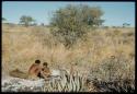 Groups: Woman and a child sitting next to aloes at the edge of a pan