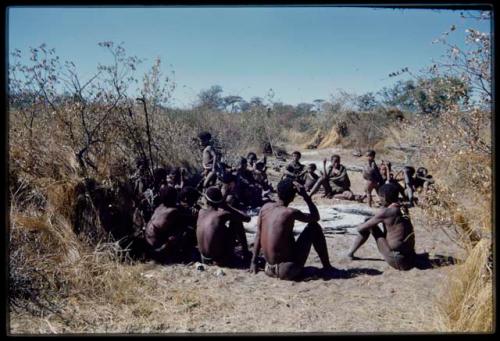 Groups, Extended Family: "Gao Hunchback" squatting (right), with his extended family (Band 11) sitting around him, including his sons-in-law (front)