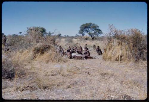 Groups, Extended Family: "Gao Hunchback" squatting (right), with his extended family (Band 11) sitting around him, distant view