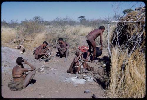 Groups, Extended Family: "Old ≠Toma" carrying a pot in front of Gau's skerm, with "Old /Gam" and other people sitting near him