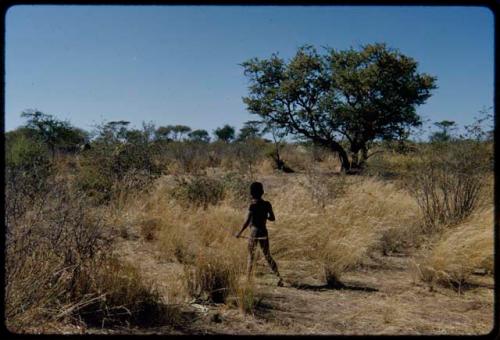 Hunting: Boy carrying a bow, walking through grass near the Gautscha dance circle