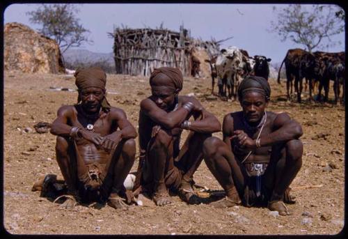 Three men sitting, with cattle and huts in the background