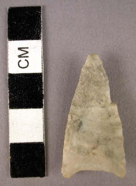 Arrow heads of silex