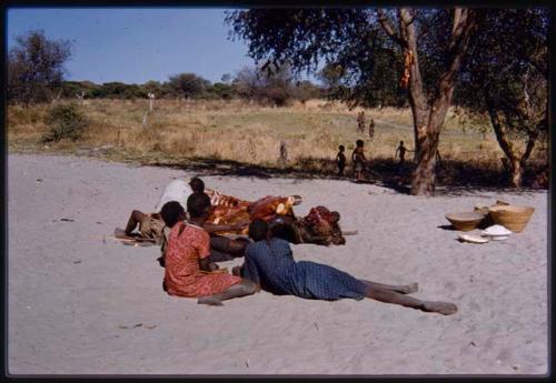 Children sitting near a dead buffalo