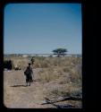 Two people carrying water to weft, seen from behind