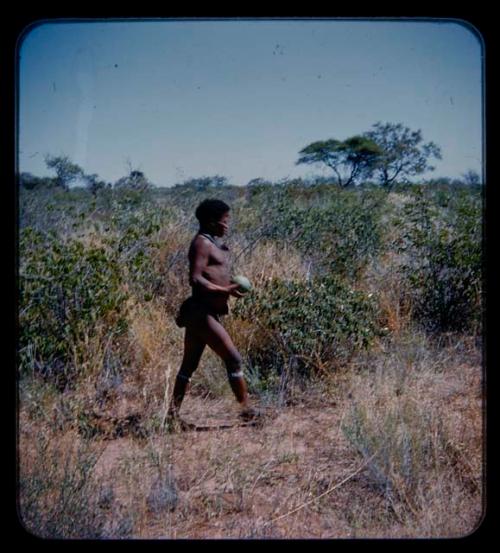 ≠Toma walking in profile, carrying fruit in his hands