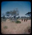 Three men walking, seen from a distance