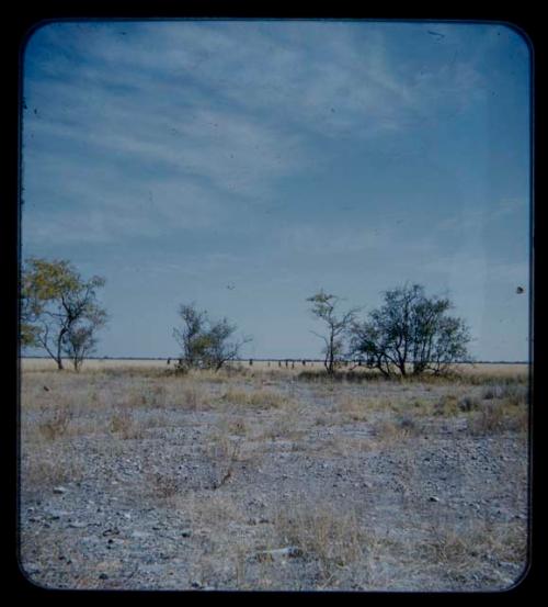 Group of people walking, seen from a distance