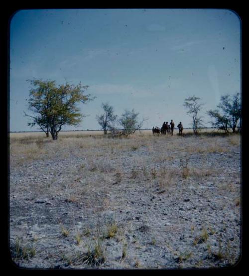 Group of people walking, seen from a distance