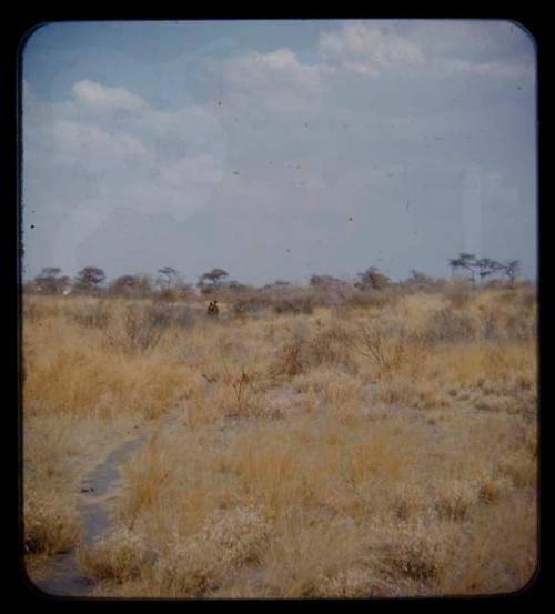 Three men walking, seen from a distance