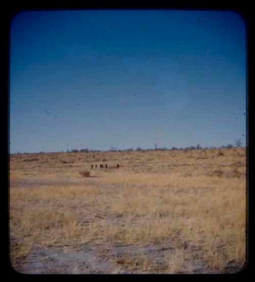 Group of people walking, seen from a distance