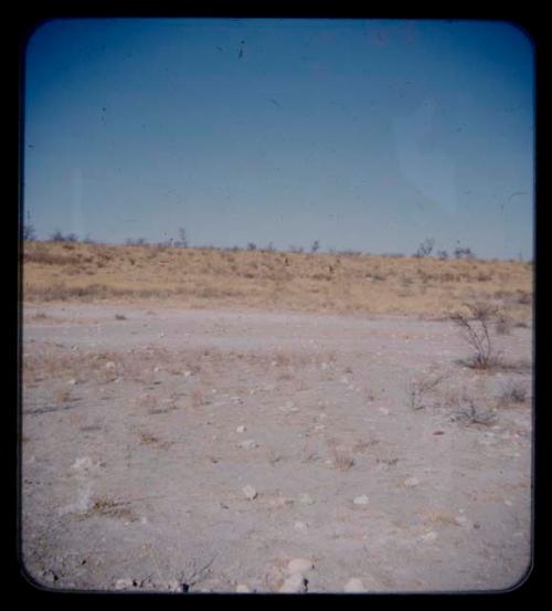 People walking on the hill, seen from a distance