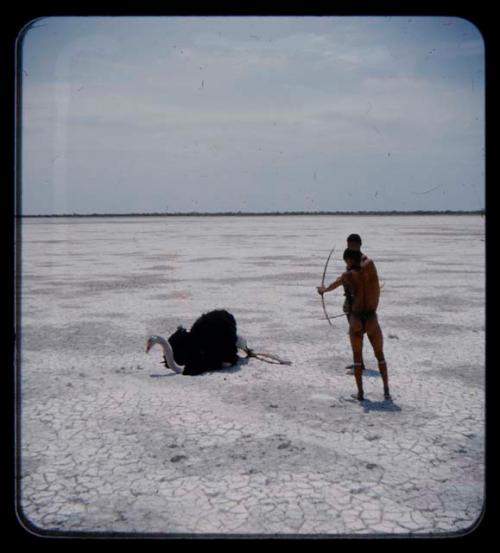 "/Qui Hunter" and another man approaching a dead ostrich